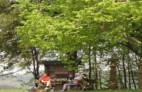 Cozy Apartment in Wilsecker near Forest - Foto 28