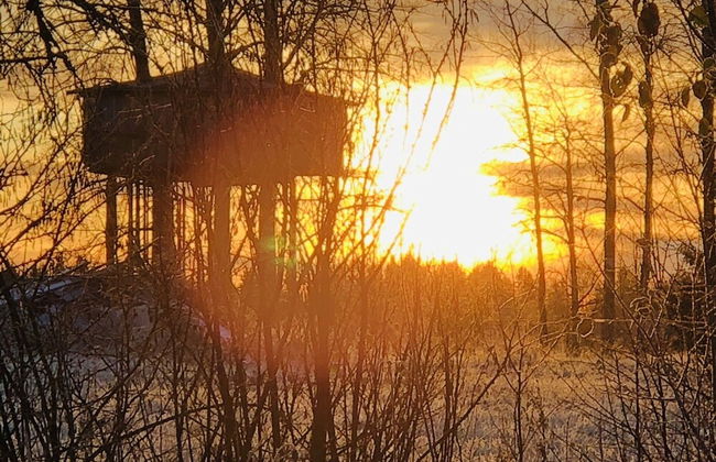 Treehouse Magpies Nest With Bubble Pool - Foto 35