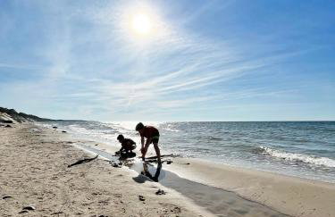 Patyki Kamyki - Foto 79