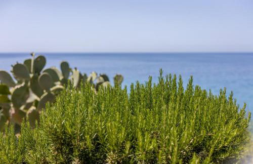 La Terrazza sul Mare - Photo 27