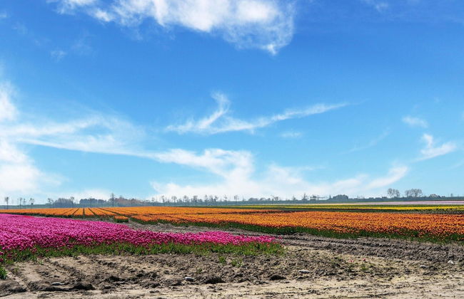 Amazing Holiday Home With Spacious Garden - Photo 37