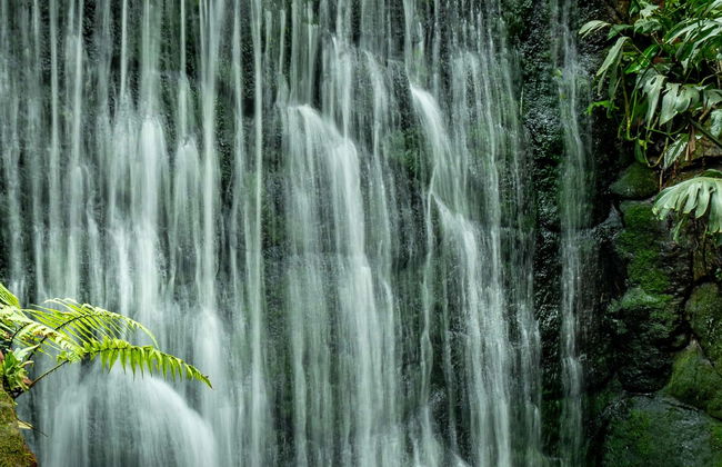 Trilha pelas cascatas de Jardín - Foto 6