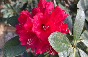 Loughview Lodge - Foto 47