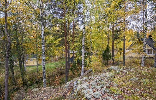 Orava-apaja - Foto 31