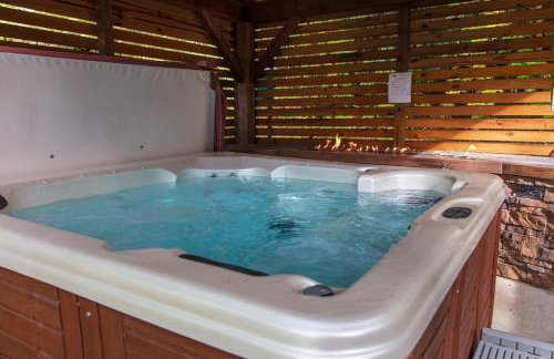 Cozy Lakefront Cabin on Lake Nantahala with Dock - Foto 26