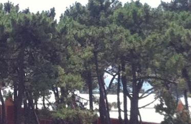 Beach House Cabedelo - Foto 26