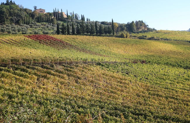 Borgo Poneta - Foto 65