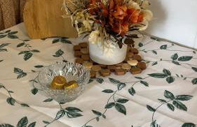 Tiny House Armação - Photo 20