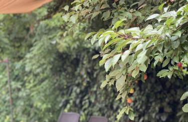 DOLCE VITA IN TUSCANY Cottage - Foto 29