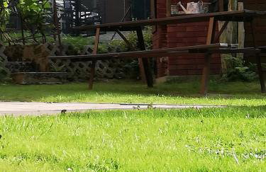 Apartament nad szumiącym potokiem - Foto 29