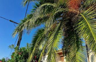 House of Santiago de Compostelle - Foto 9