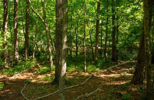 Riverfront Home - Kayak & Fishing - 6 mins Mentone - Photo 44