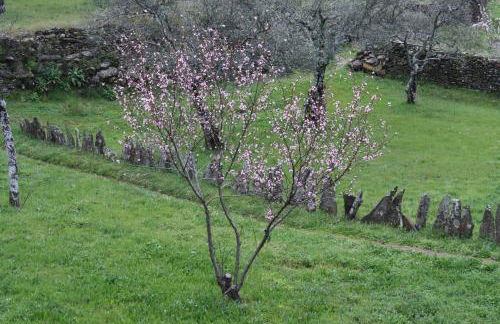 Casa Zambrana - Foto 15