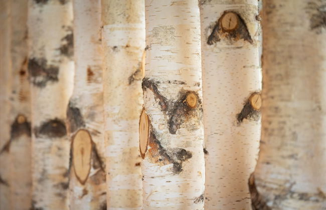 Apartment Near Lake Klopeiner With Sauna - Foto 9