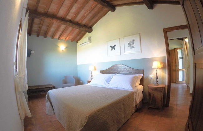 Boschi di Montecalvi - Foto 18