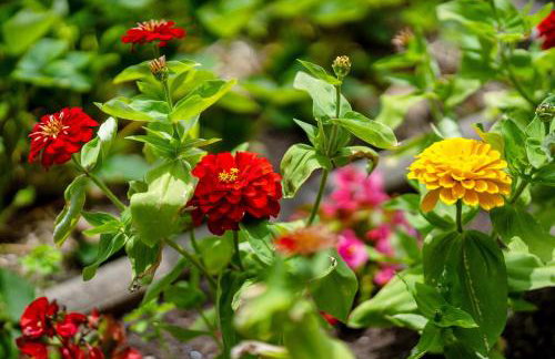 Villa Stumpf - Photo 4