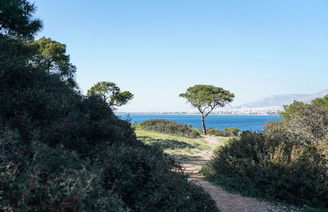 Secret Aktis by BluPine - Foto 25