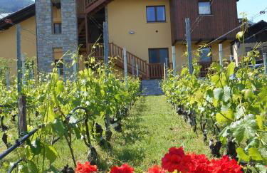 La Vigne de Papagran - Foto 37