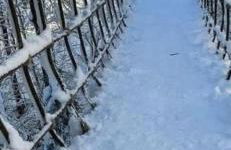 Die Waldstube - Foto 29