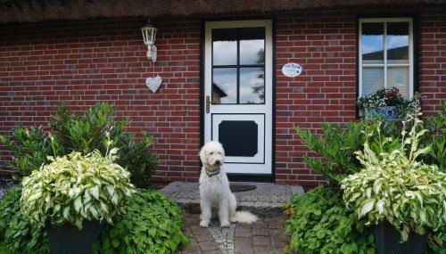 Reethaus im Biosphärenreservat - Foto 5