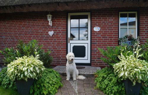 Reethaus im Biosphärenreservat - Foto 5