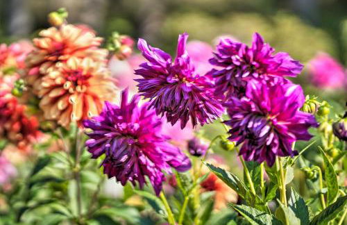 Fishermens Paradise in Coos Bay Walk to Beach! - Foto 40