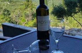 Apartman Andrea - Photo 15