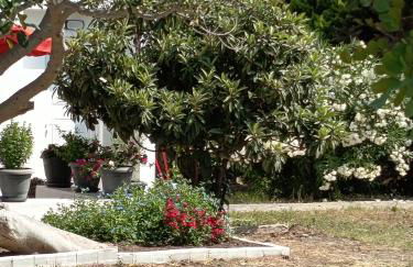 Kosaris Cottage - Foto 10