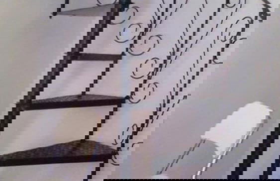 Quinta da Bicuda - Photo 15