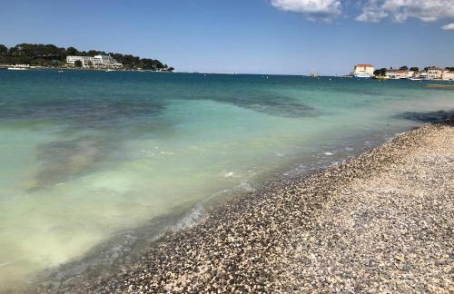 Apartment Bianca - Photo 25