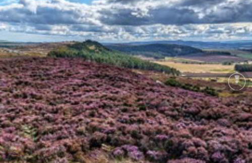 The View Point Northumberland - Foto 28
