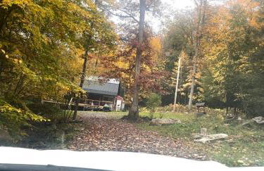 Serene Cabin between Fayetteville& Summerville WV - Foto 27
