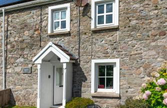 Coeden Afal - Foto 2