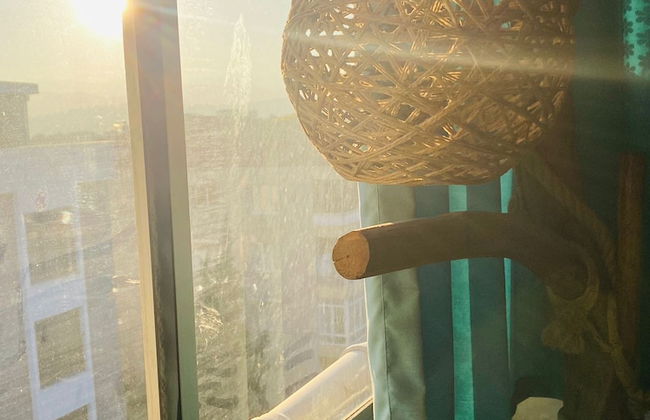 ŞİRİNYER ELİT RESİDANCE APART HOTEL - Photo 53