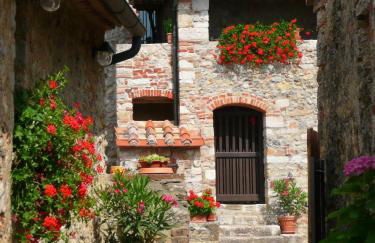 Agriturismo Colli di Travale - Foto 48