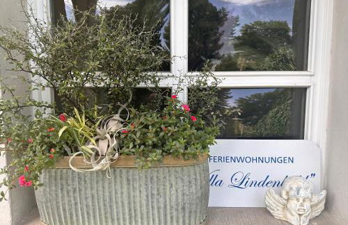 Apartmenthaus Villa Lindenbühl - Foto 23