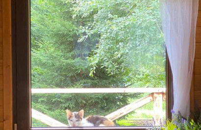 Lawendowy Domek TP - Foto 18