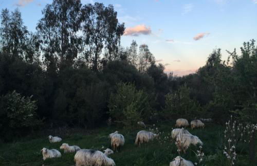 Villetta DESSANAI - Foto 67