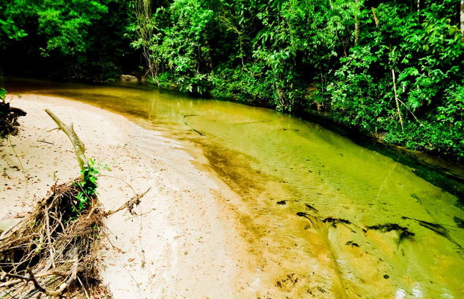 Senderismo por la cascada de Torre 47 - Foto 6