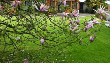 Ferienwohnungen Kastenmüller - Foto 3