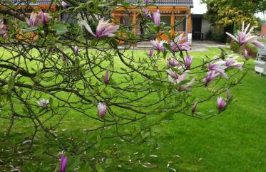 Ferienwohnungen Kastenmüller - Foto 3