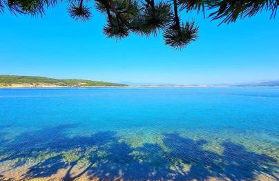 App2 Marin - Photo 33