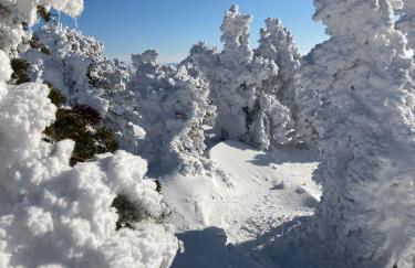 Charmante maison au coeur d'un village auvergnat - Foto 14