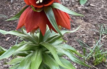 Waldtraum Wandlitzsee - Foto 9