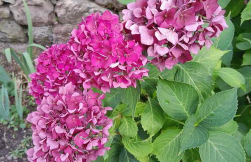 Gîte MANDRA chez gîtes QUE CANTA - Photo 32