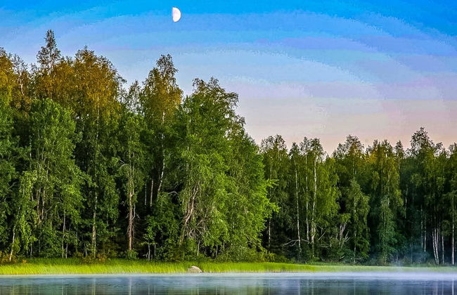 Koskisaari, vaikon loma 2 - Foto 22