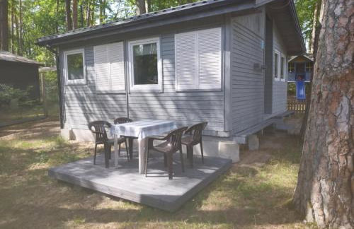 Ośrodek Wypoczynkowy Leśny Zakątek - Foto 7