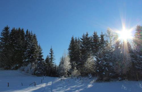 in the holiday home Vorbergblick - Foto 3