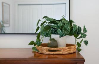 Rivertowne Escape Downtown Knoxville - Foto 11