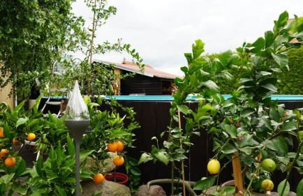 Pension Limone Ferienwohnung 2 - Foto 1